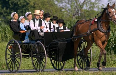 The magical amish